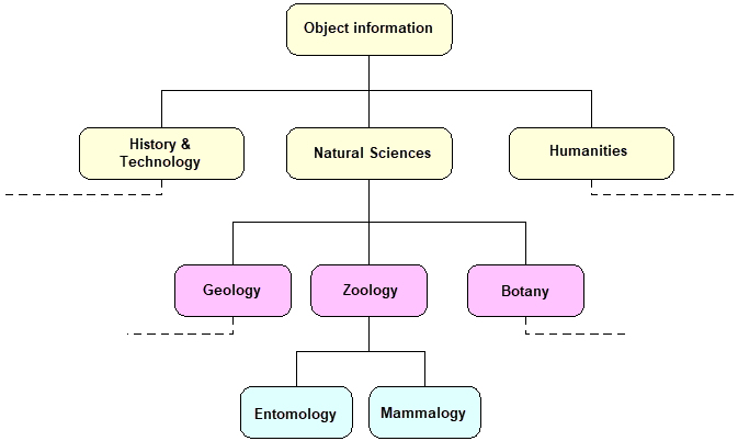 Natural Sciences hierarchy