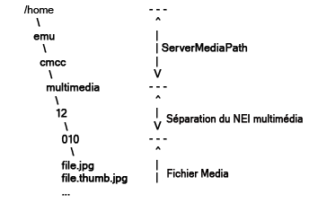 Structure du répertoire Multimédia