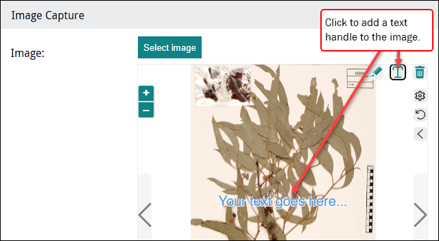 Click to enlarge Text overlay