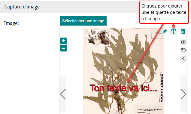 Cliquez pour agrandir Présentation de texte