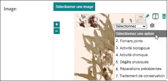 Cliquez pour agrandir Rechercher la sélection