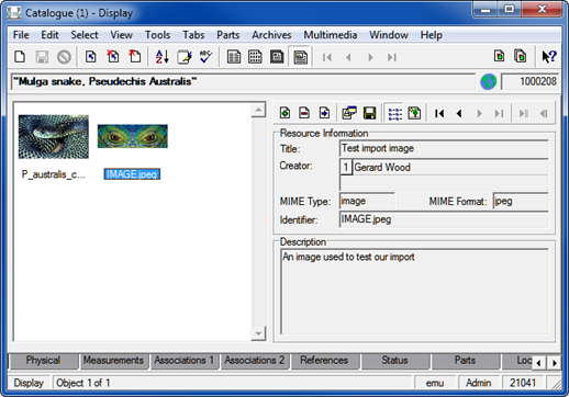 mod_cat_import_multimedia_example2.png