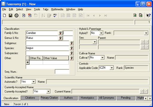 Classification tab