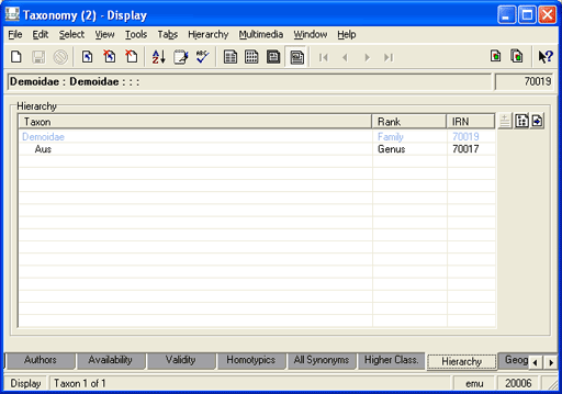 Hierarchy tab