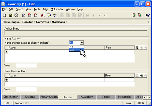 Authors tab