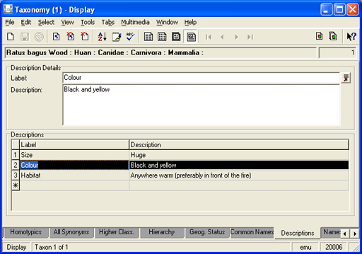 Descriptions tab