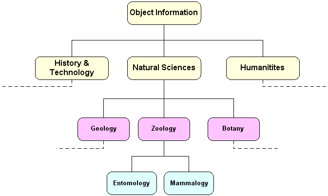 Natural Sciences hierarchy