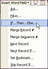 Insert Word Field menu