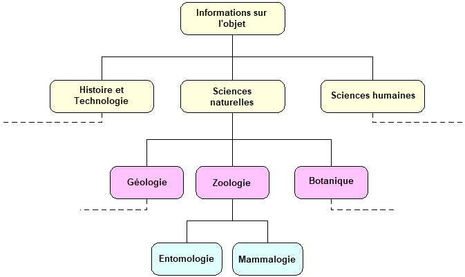 Hiérarchie d'histoire naturelle