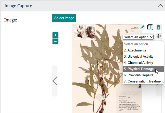 Click to enlarge Lookup selection